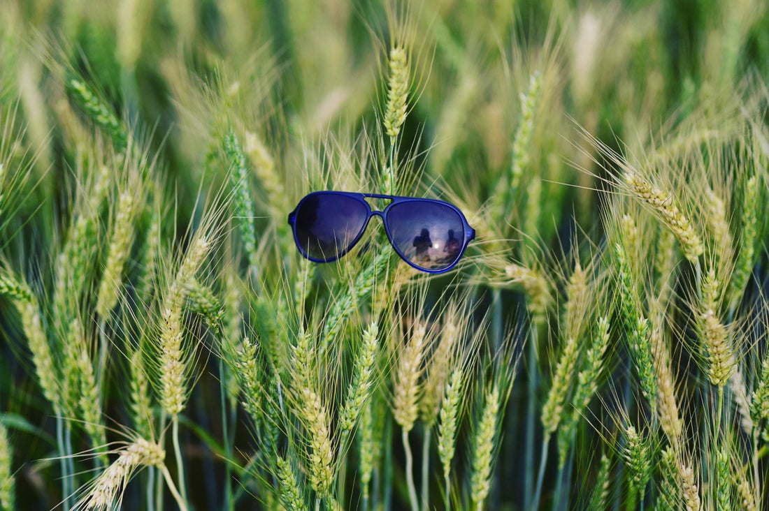 La importancia de las gafas de sol | savagesunglassescol